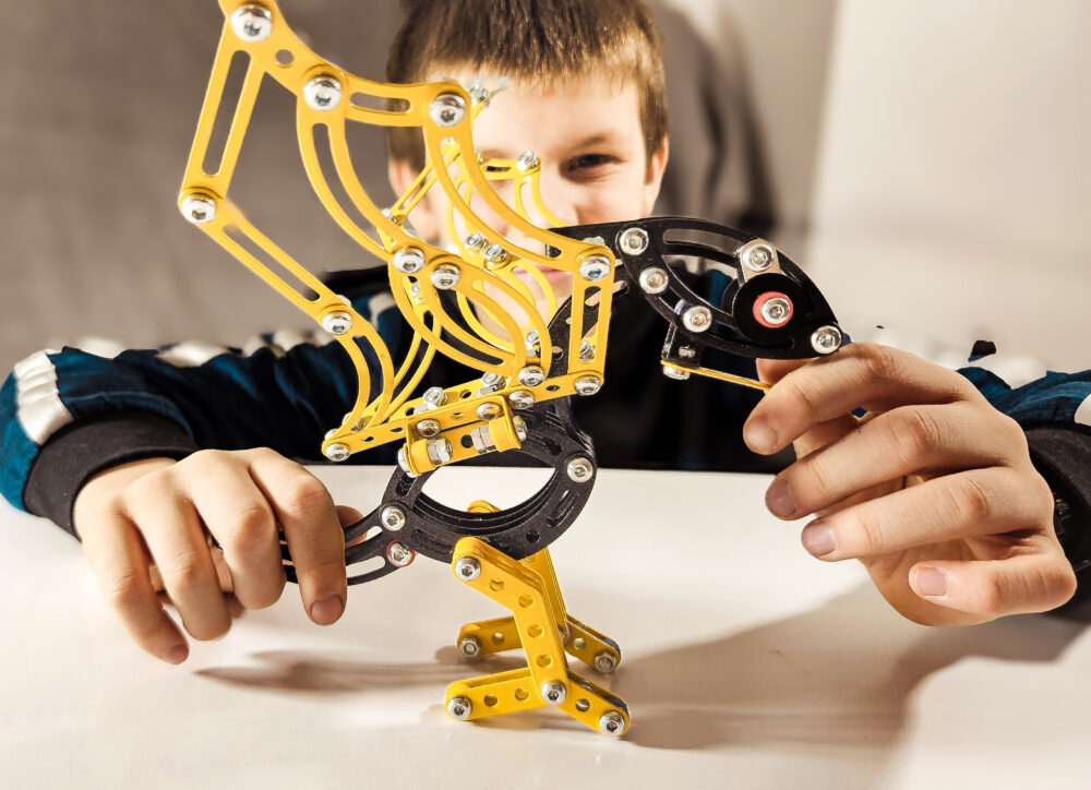 ND01_250176 Maly konstruktor Pterodactyl 28508