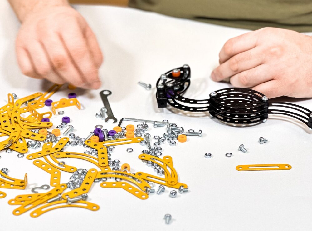 ND01_250176 Maly konstruktor Pterodactyl 28508