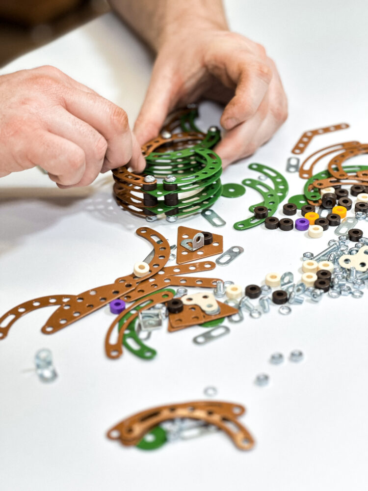 ND01_250175 Maly konstruktor Triceratops 31010