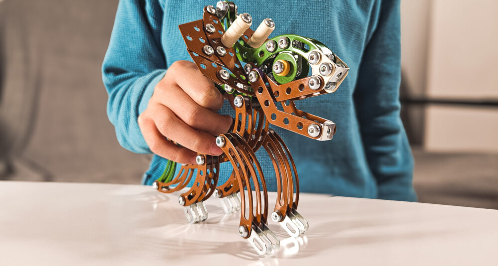 ND01_250175 Maly konstruktor Triceratops 31010