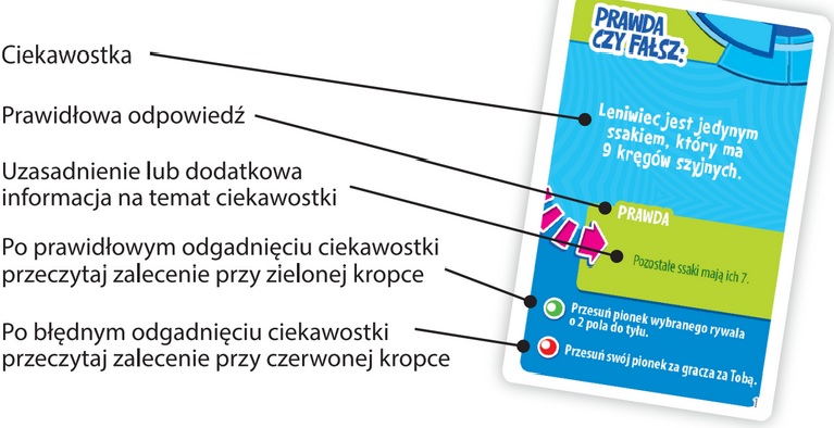 Madra glowa - gra rodzinna 01577