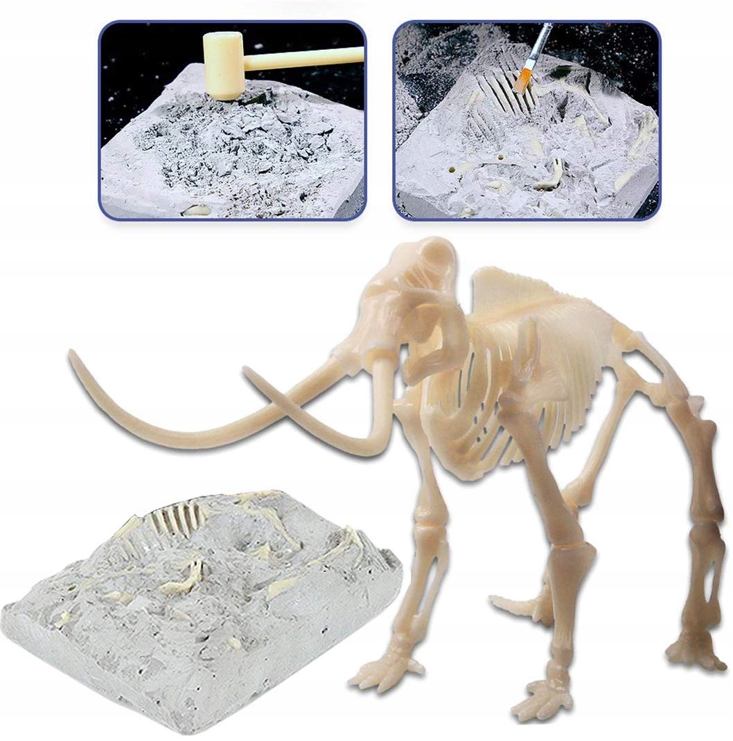 CLE Naukowa zabawa Skamienialosci Mamut 50859