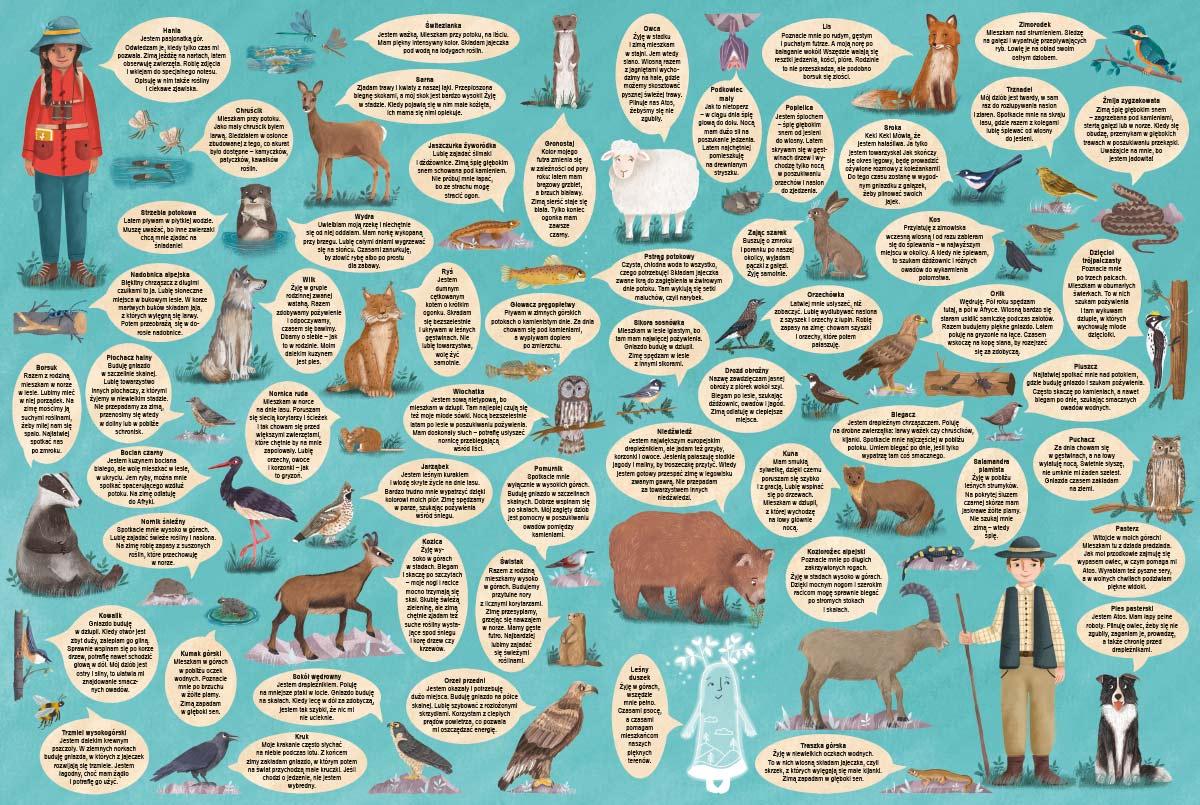 ND01_248074 Rok w gorach 41958