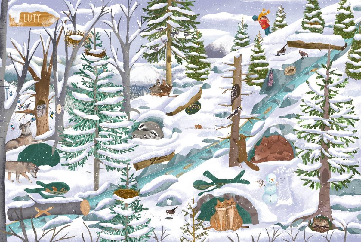 ND01_248074 Rok w gorach 41958